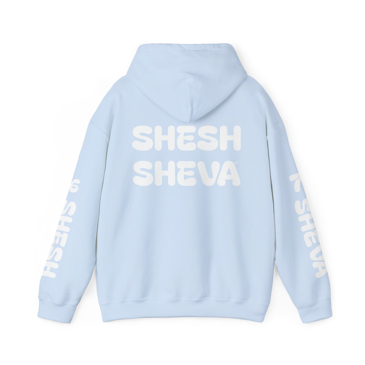 Shesh Sheva Hoodie - "Not Just a Meme" Graphic Sweatshirt 67