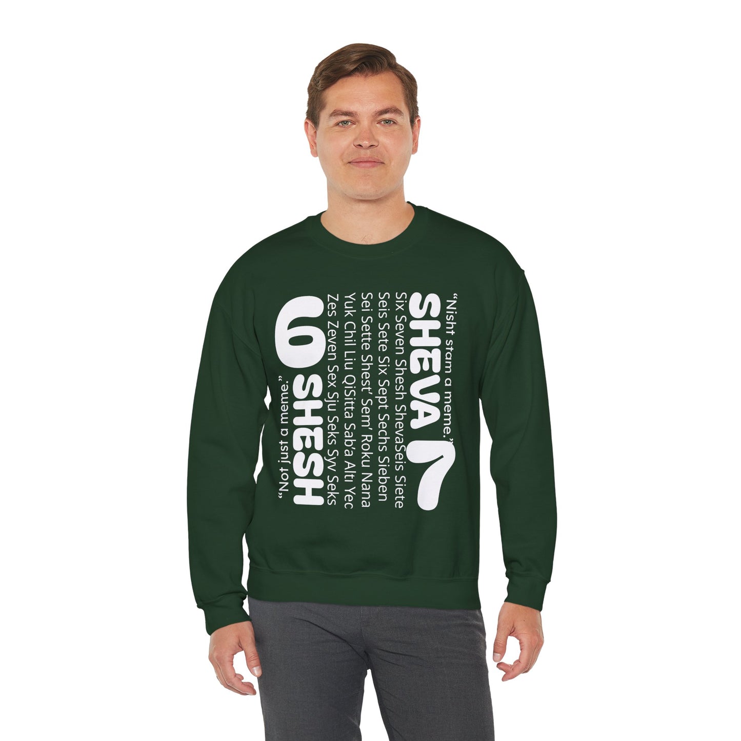 SHESH SHEVA “Global Vibe” Hoodie – The Six Seven Languages Drop