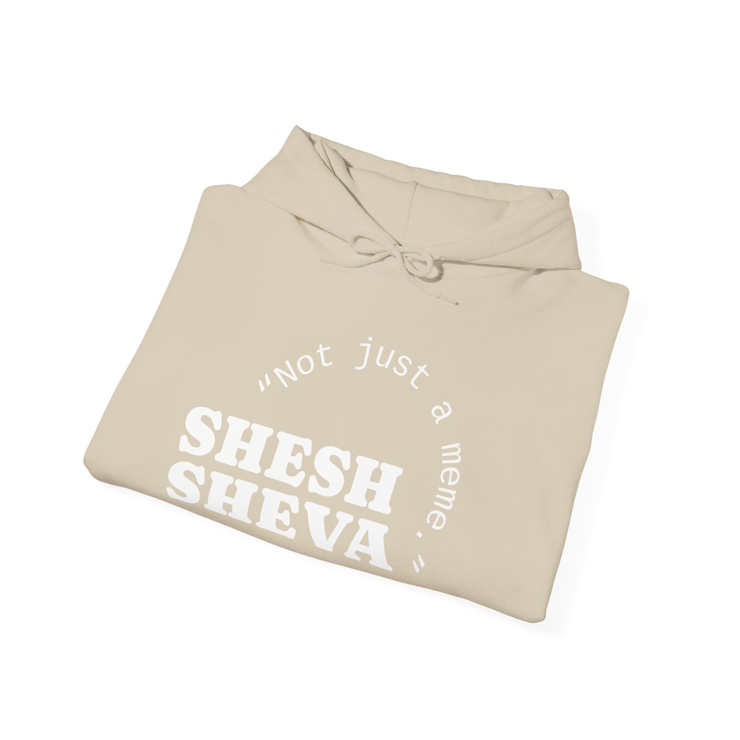 Shesh Sheva Hoodie - "Not Just a Meme" Graphic Sweatshirt