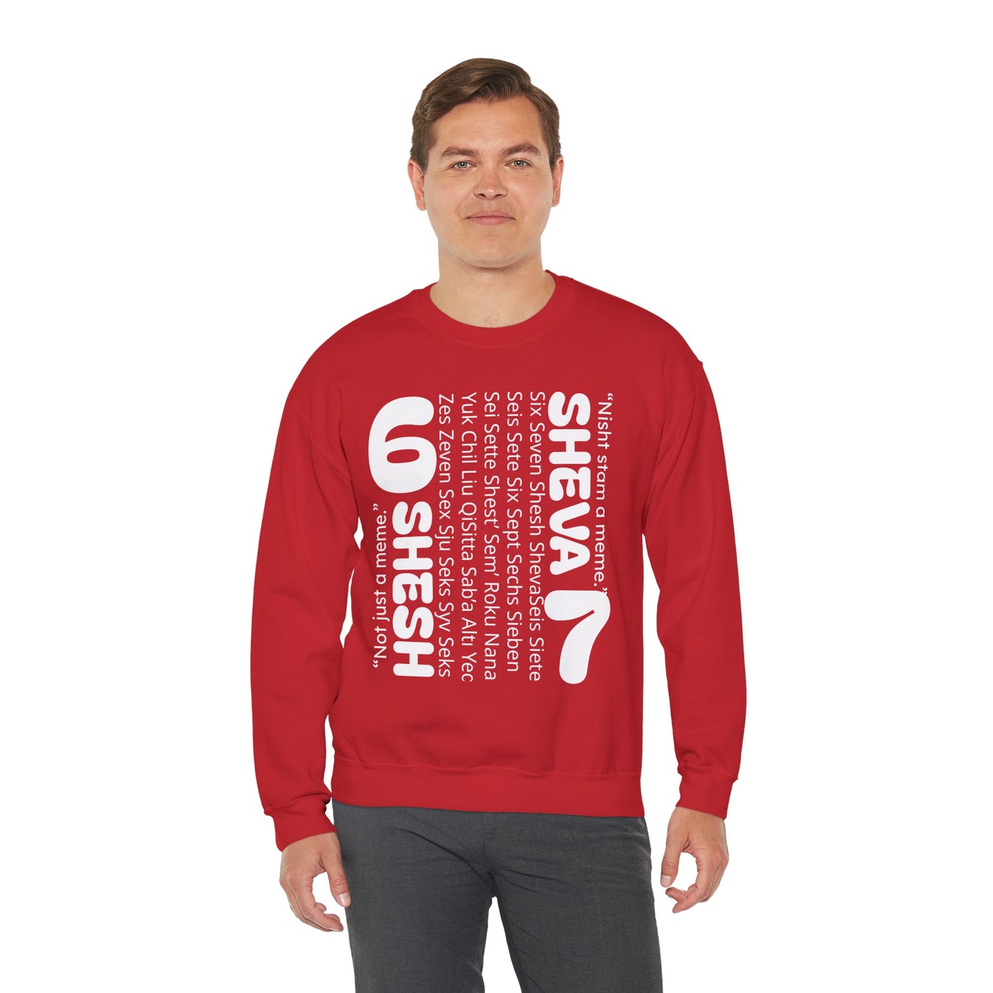 SHESH SHEVA “Global Vibe” Hoodie – The Six Seven Languages Drop