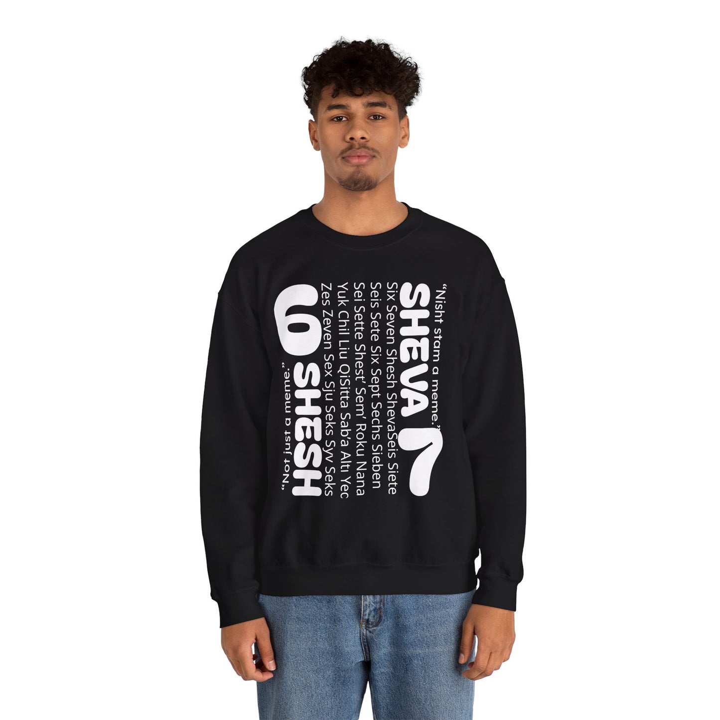 SHESH SHEVA “Global Vibe” Hoodie – The Six Seven Languages Drop