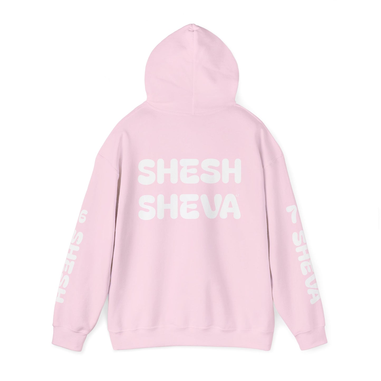 Shesh Sheva Hoodie - "Not Just a Meme" Graphic Sweatshirt 67