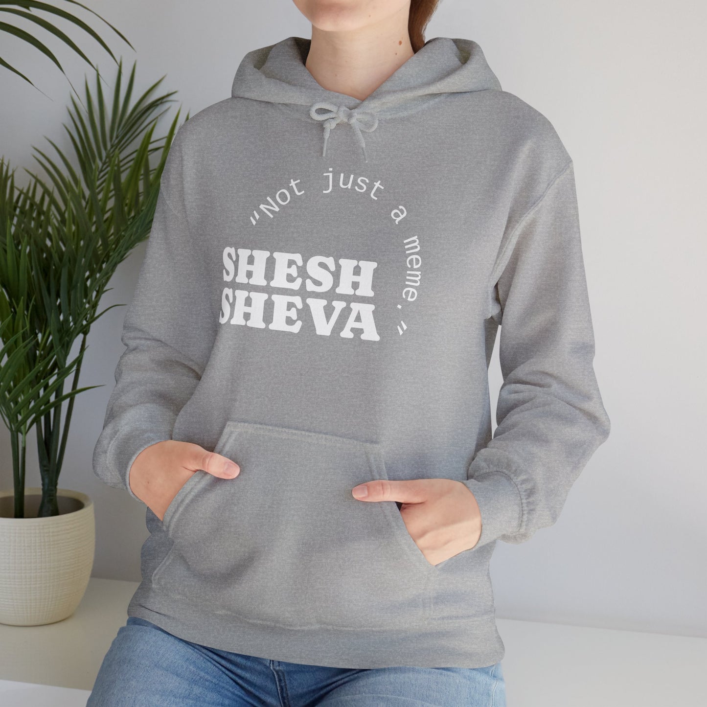 Shesh Sheva Hoodie - "Not Just a Meme" Graphic Sweatshirt