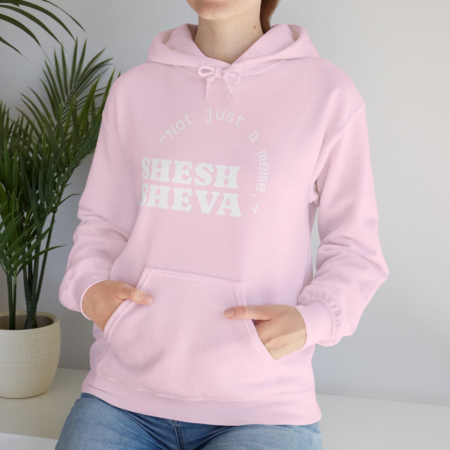 Shesh Sheva Hoodie - "Not Just a Meme" Graphic Sweatshirt