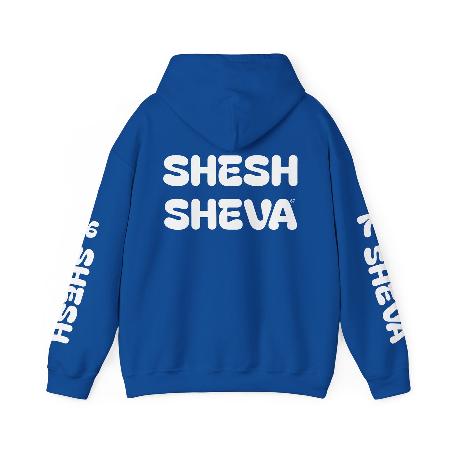 Shesh Sheva Hoodie - "Not Just a Meme" Graphic Sweatshirt 67