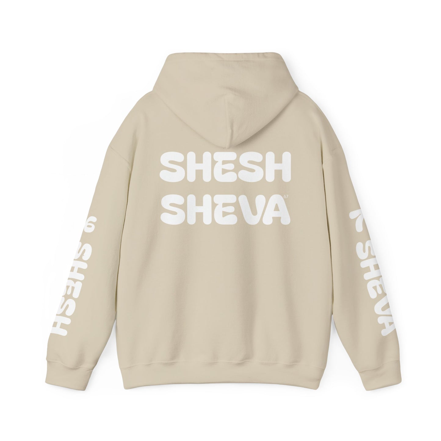 Shesh Sheva Hoodie - "Not Just a Meme" Graphic Sweatshirt 67