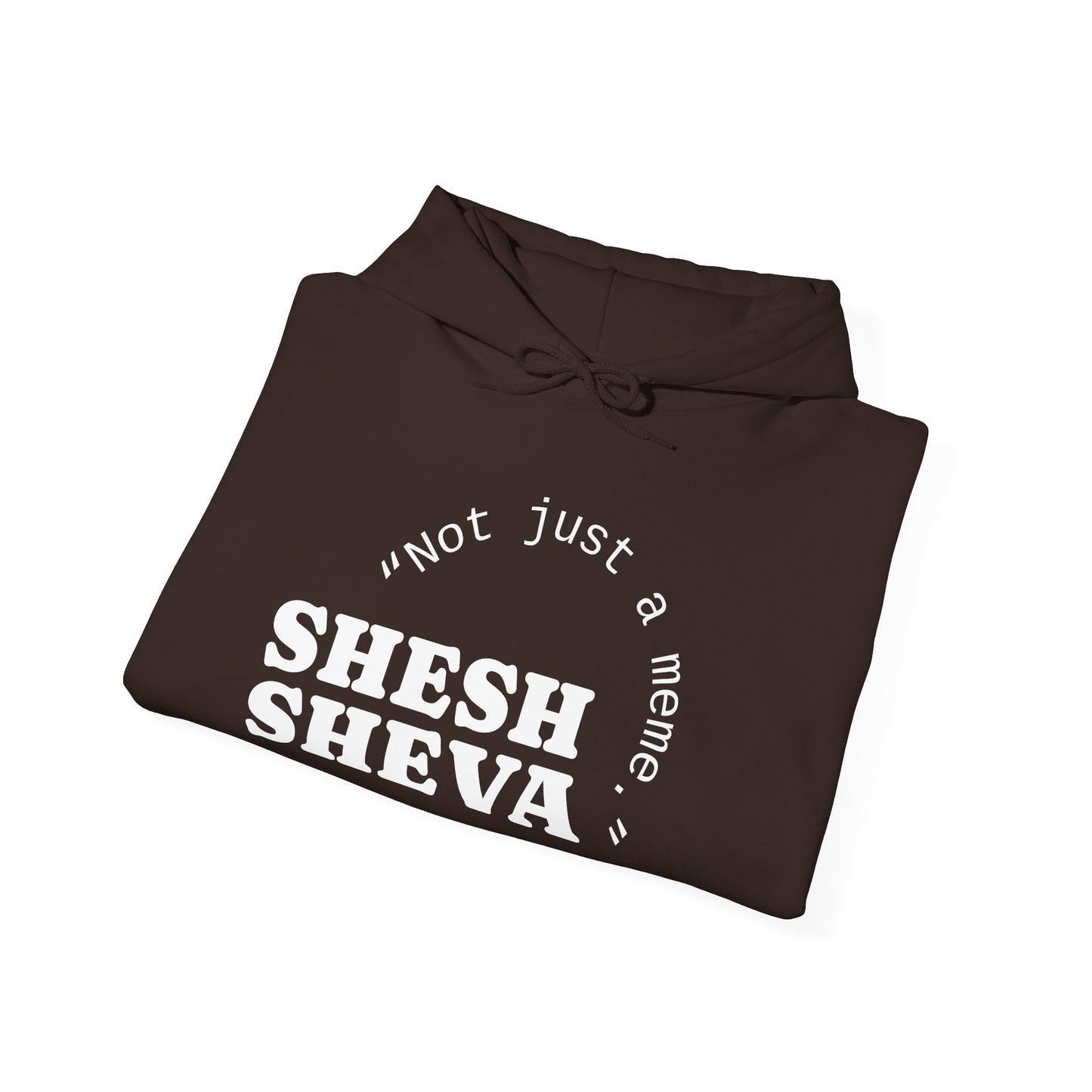 Shesh Sheva Hoodie - "Not Just a Meme" Graphic Sweatshirt