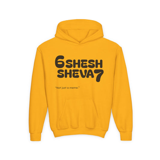 SHESH SHEVA Kids Hoodie – “Not Just a Meme”