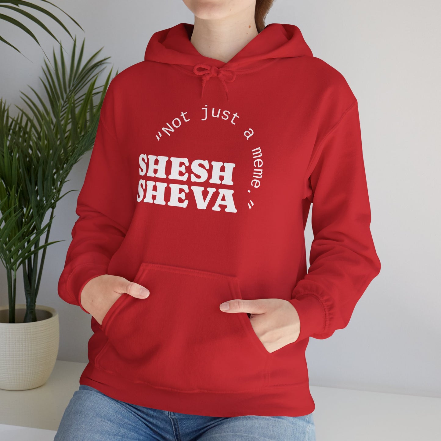 Shesh Sheva Hoodie - "Not Just a Meme" Graphic Sweatshirt