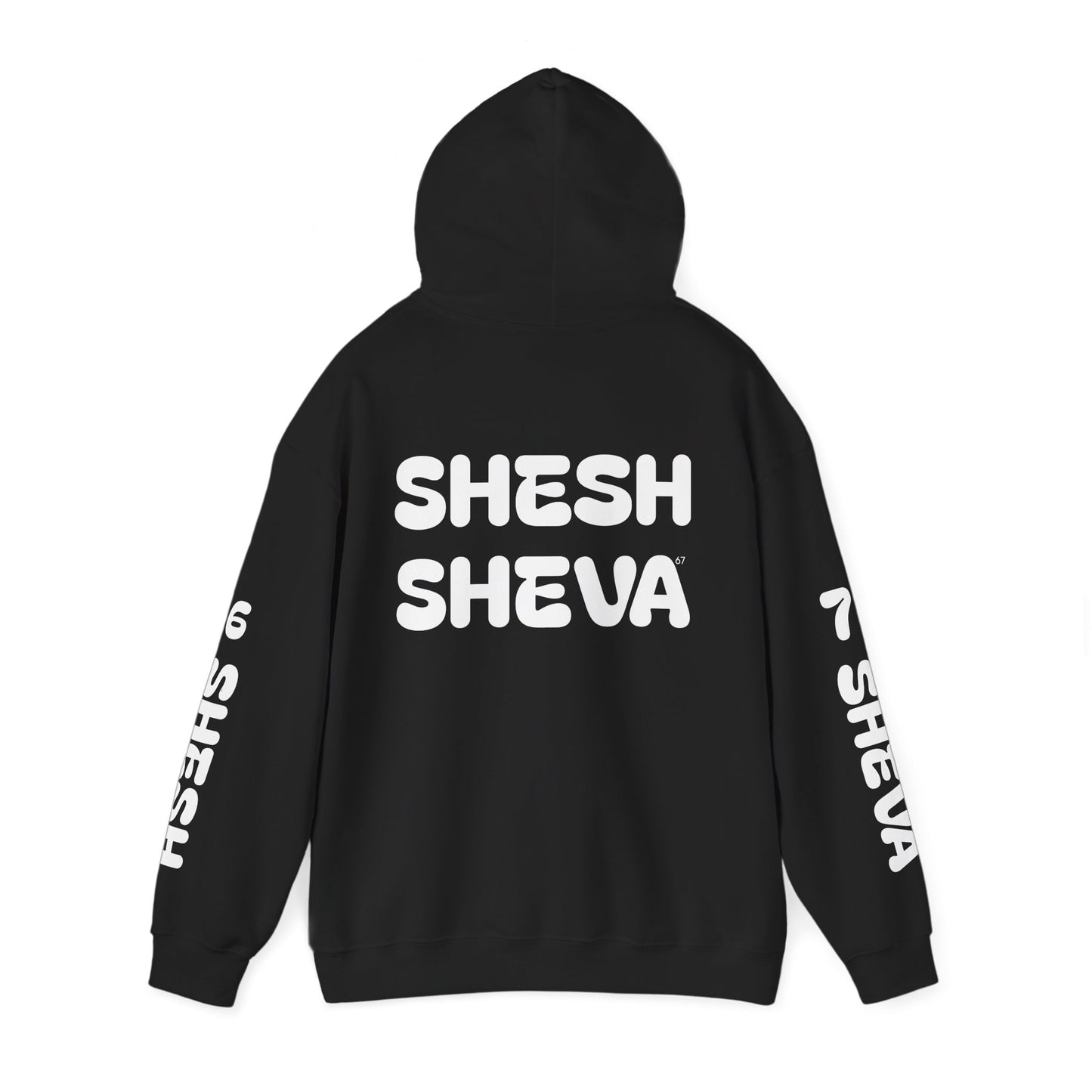 Shesh Sheva Hoodie - "Not Just a Meme" Graphic Sweatshirt 67