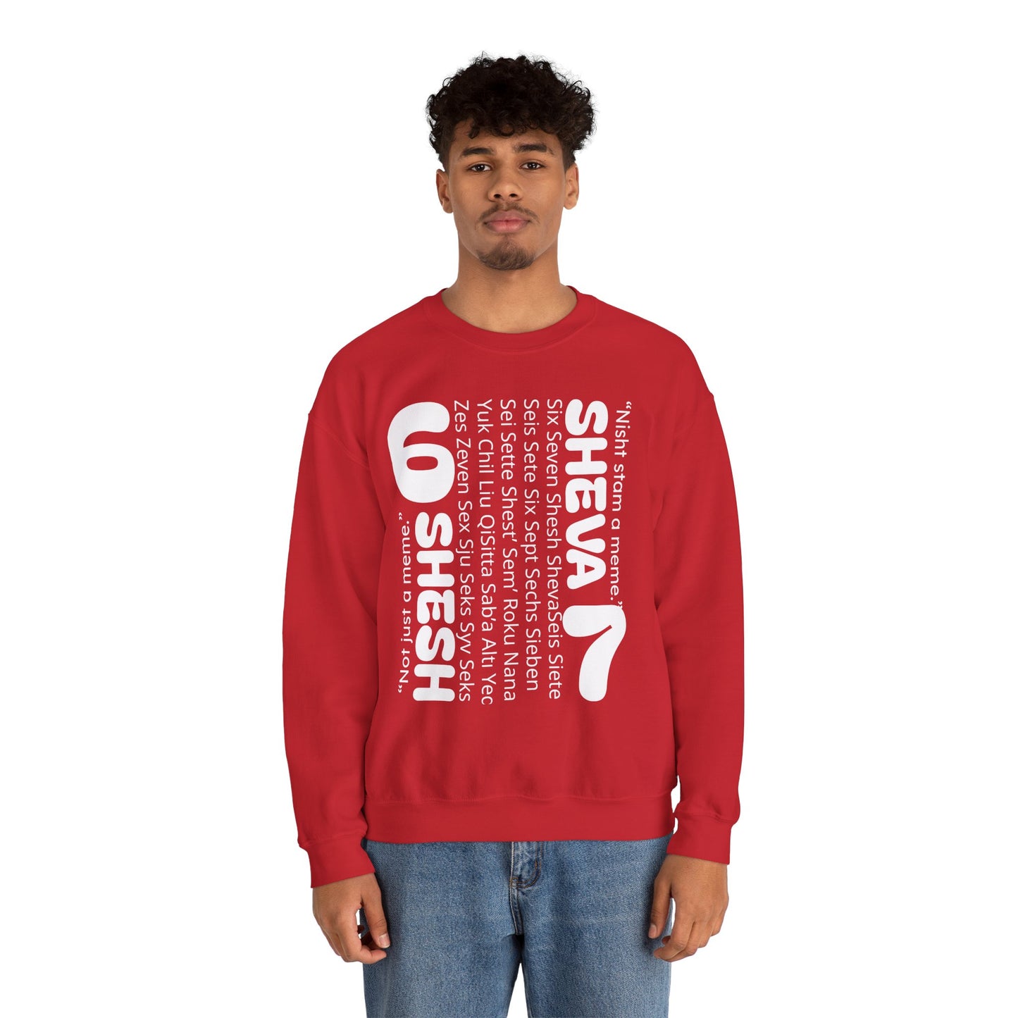 SHESH SHEVA “Global Vibe” Hoodie – The Six Seven Languages Drop