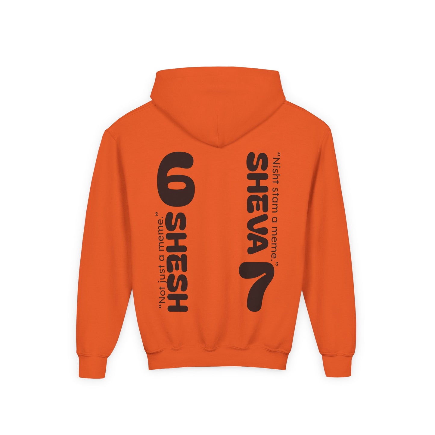 SHESH6 SHEVA7 Kids Hoodie back design – “Not Just a Meme”