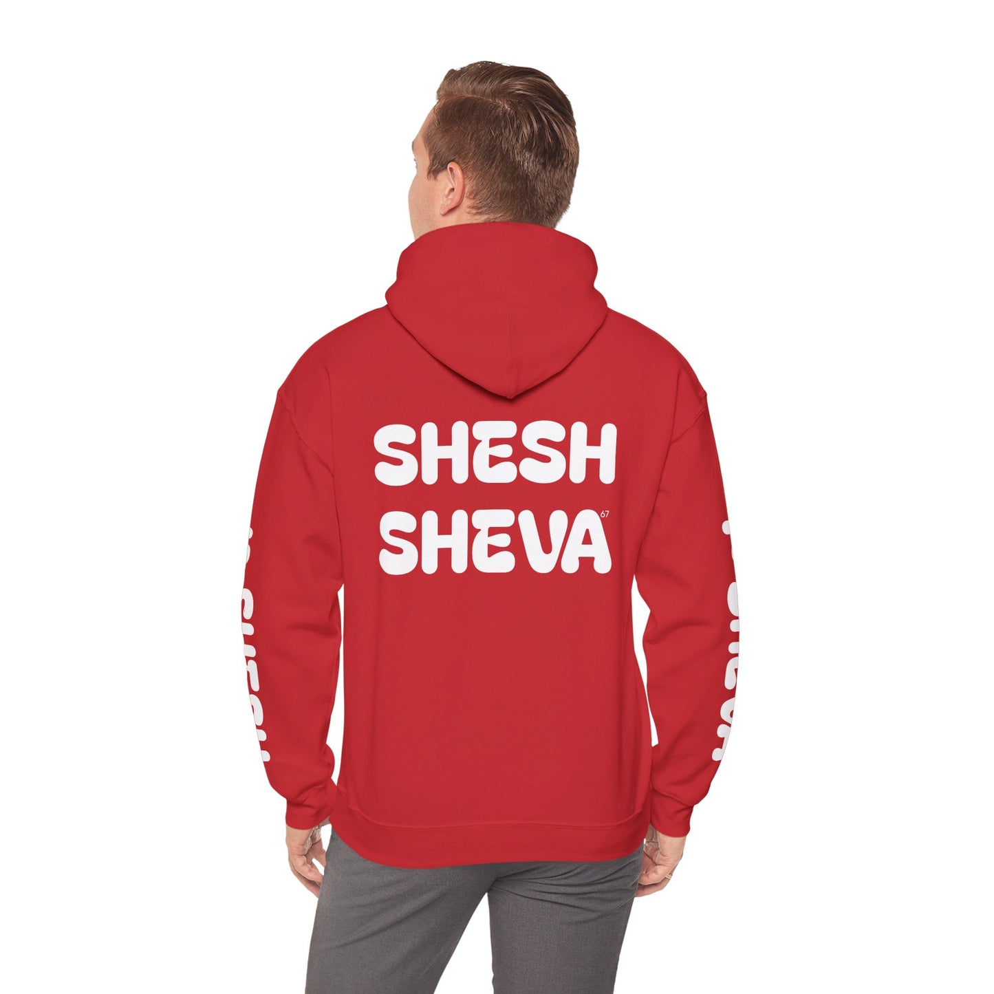 Shesh Sheva Hoodie - "Not Just a Meme" Graphic Sweatshirt 67