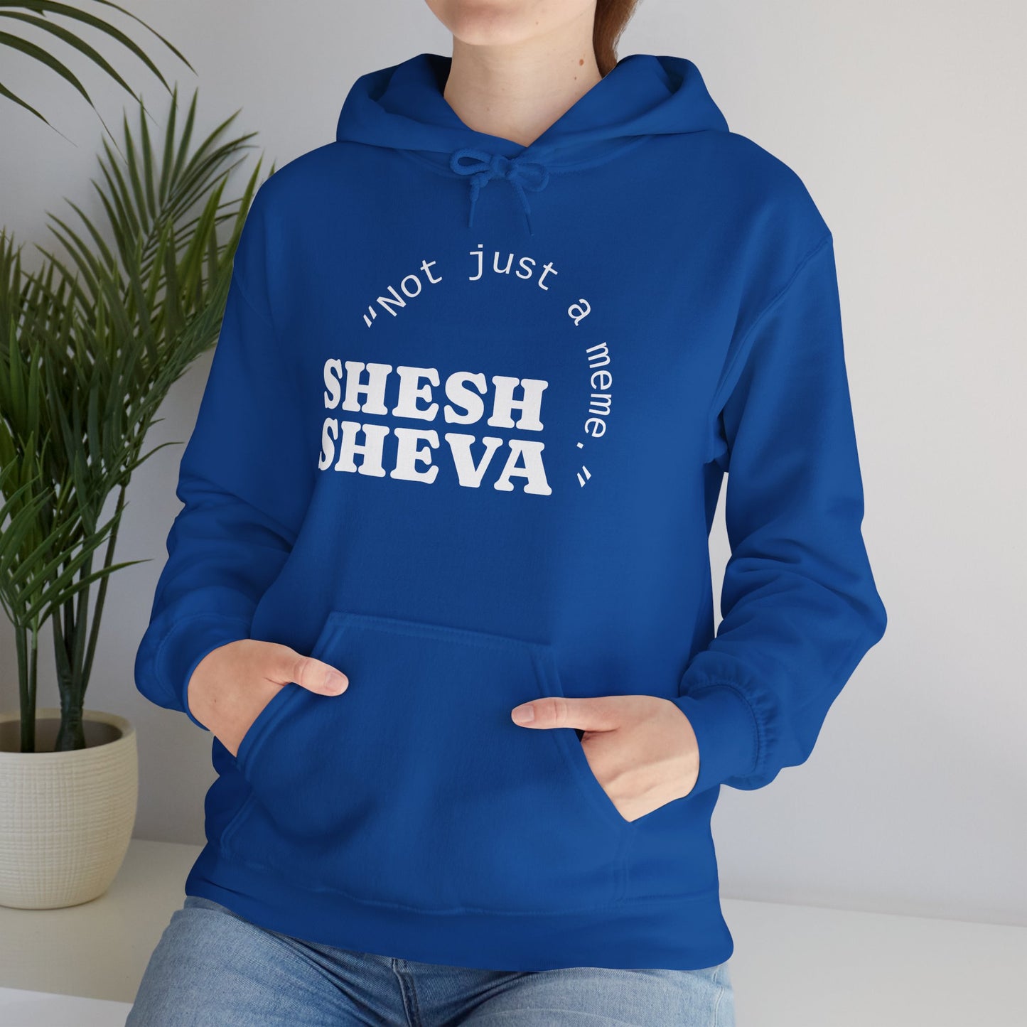 Shesh Sheva Hoodie - "Not Just a Meme" Graphic Sweatshirt