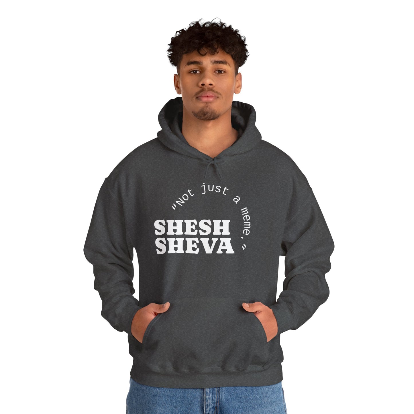Shesh Sheva Hoodie - "Not Just a Meme" Graphic Sweatshirt