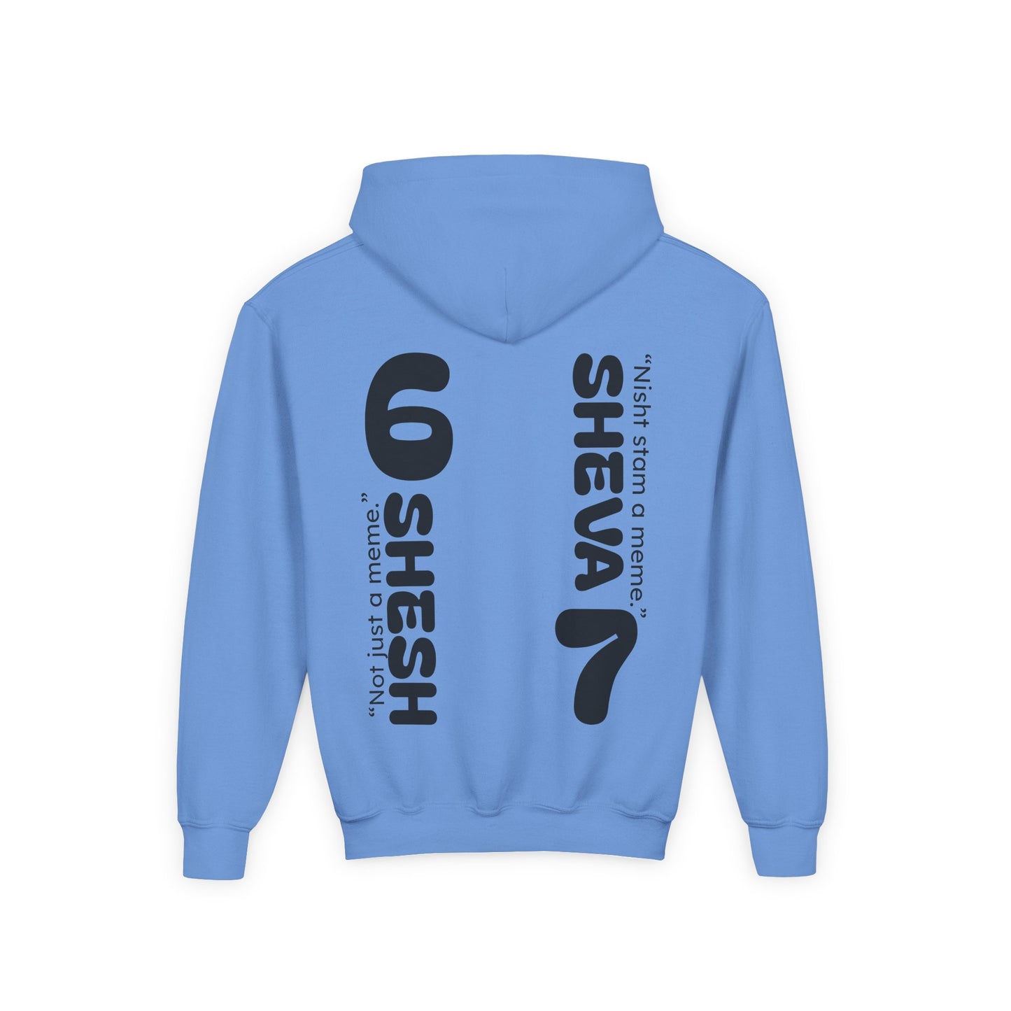 SHESH6 SHEVA7 Kids Hoodie back design – “Not Just a Meme”