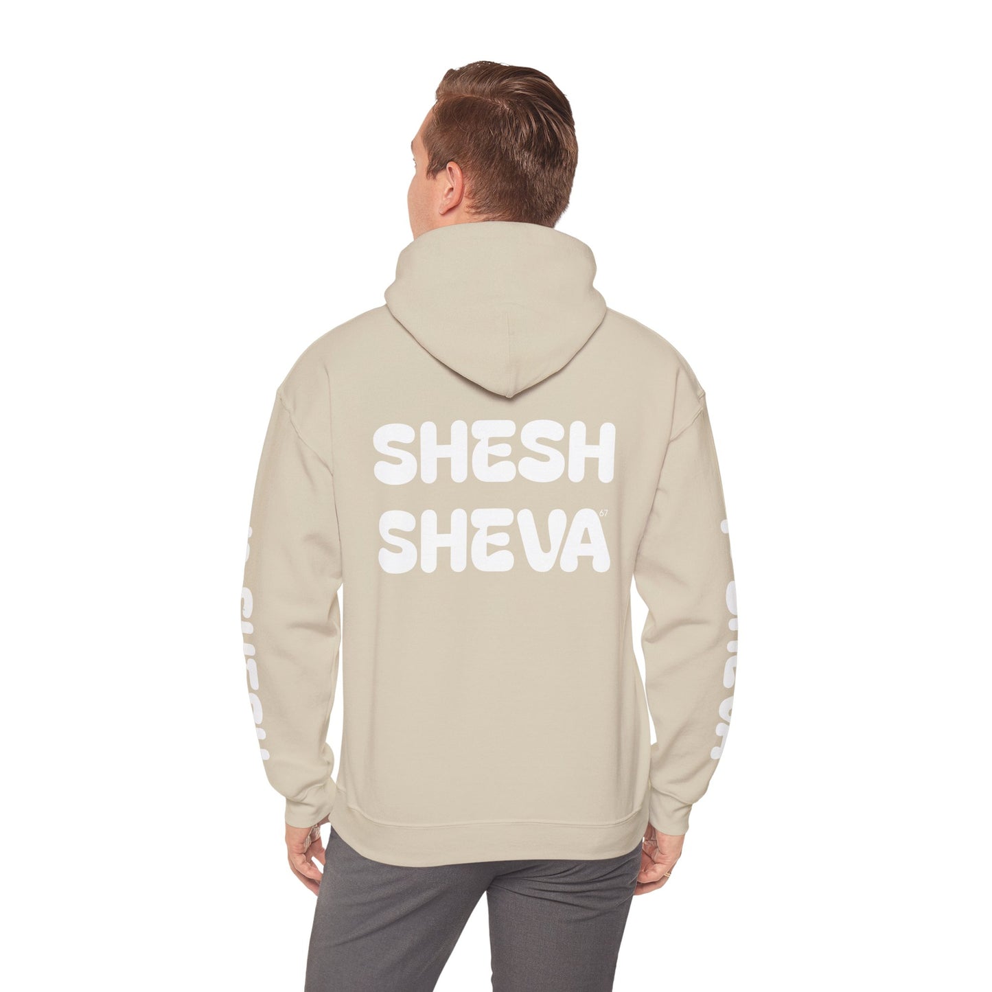 Shesh Sheva Hoodie - "Not Just a Meme" Graphic Sweatshirt 67