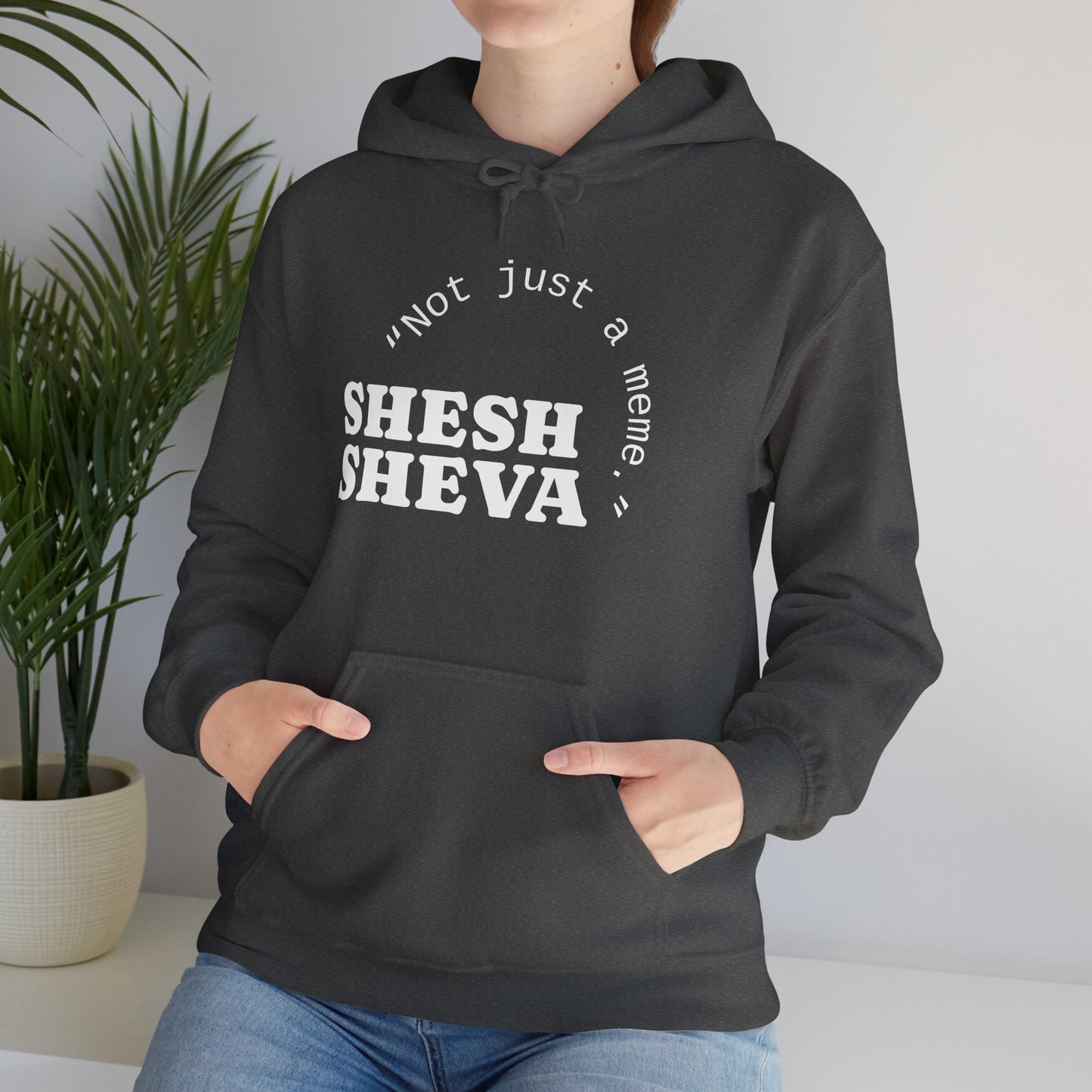 Shesh Sheva Hoodie - "Not Just a Meme" Graphic Sweatshirt