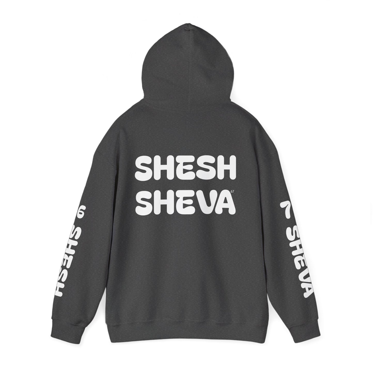 Shesh Sheva Hoodie - "Not Just a Meme" Graphic Sweatshirt 67