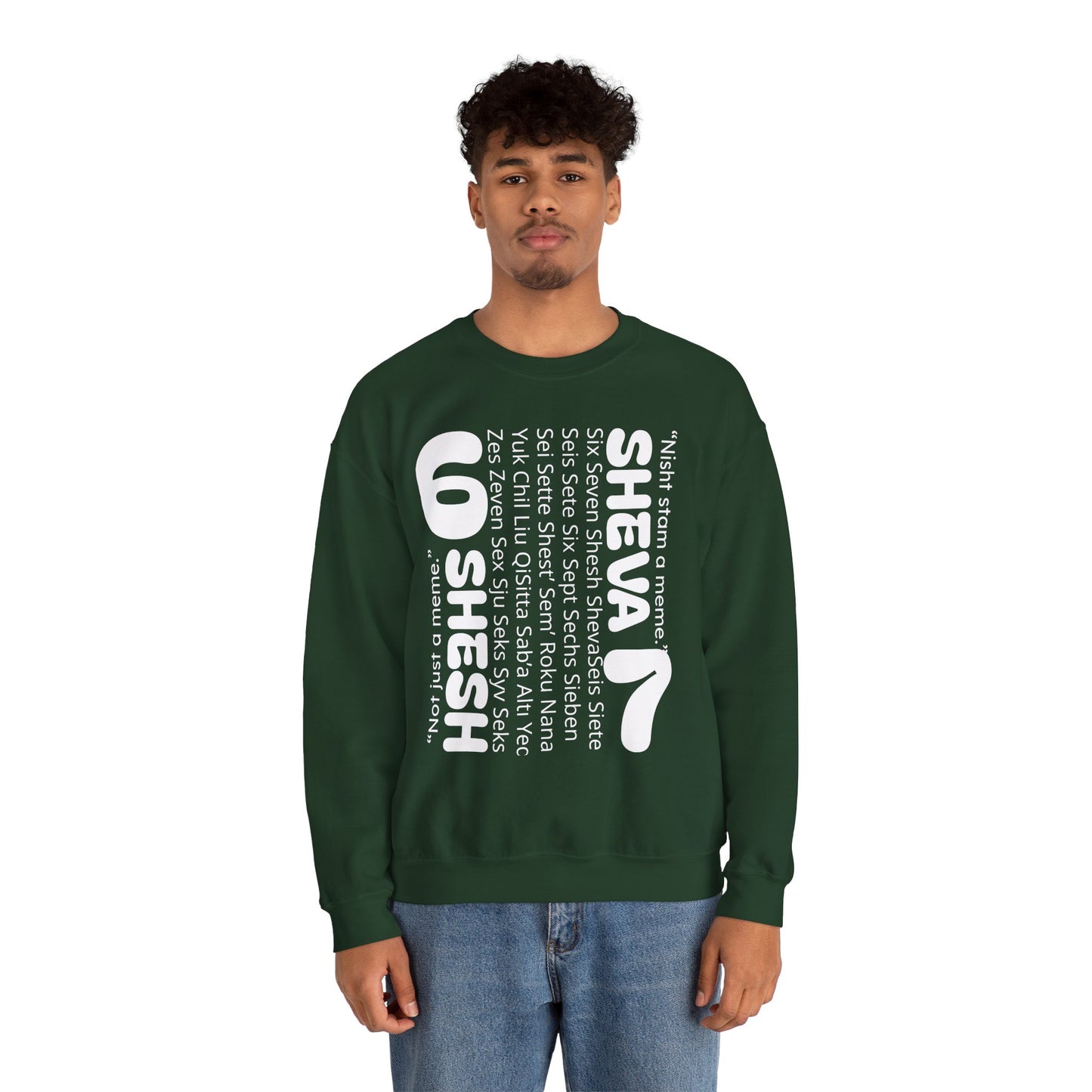 SHESH SHEVA “Global Vibe” Hoodie – The Six Seven Languages Drop