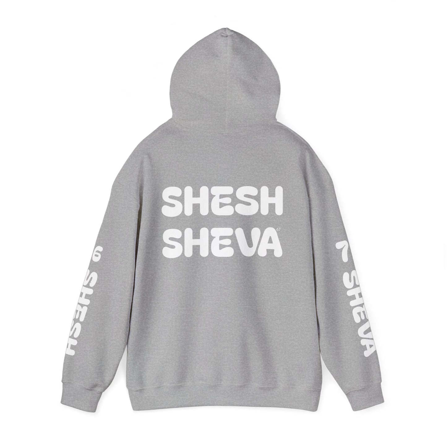 Shesh Sheva Hoodie - "Not Just a Meme" Graphic Sweatshirt 67