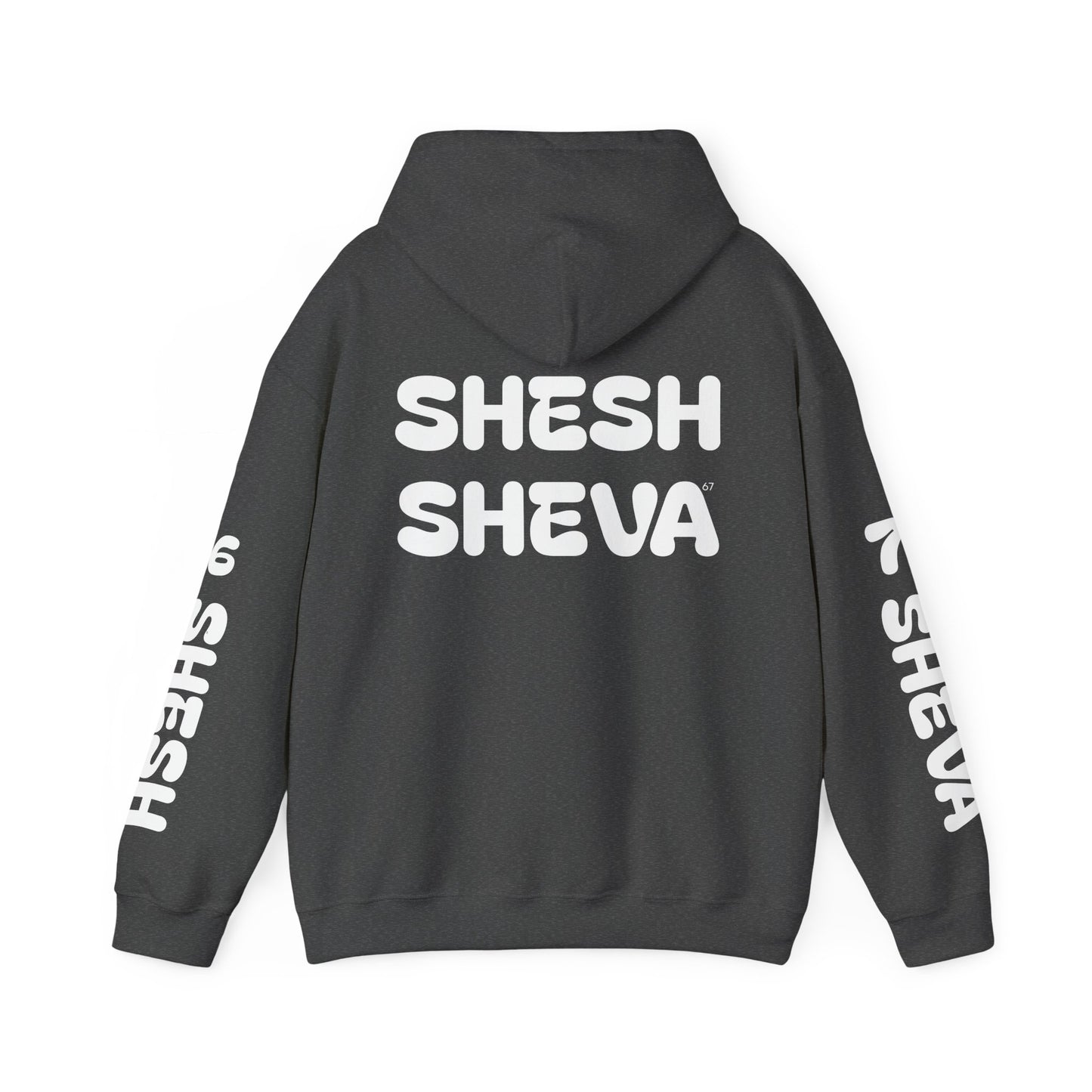 Shesh Sheva Hoodie - "Not Just a Meme" Graphic Sweatshirt 67