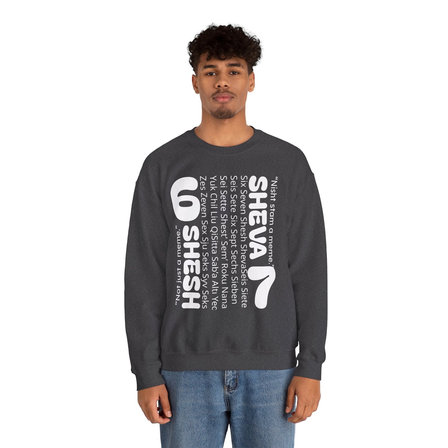 SHESH SHEVA “Global Vibe” Hoodie – The Six Seven Languages Drop