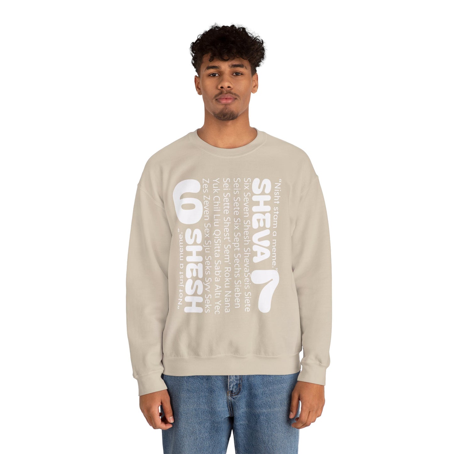 SHESH SHEVA “Global Vibe” Hoodie – The Six Seven Languages Drop