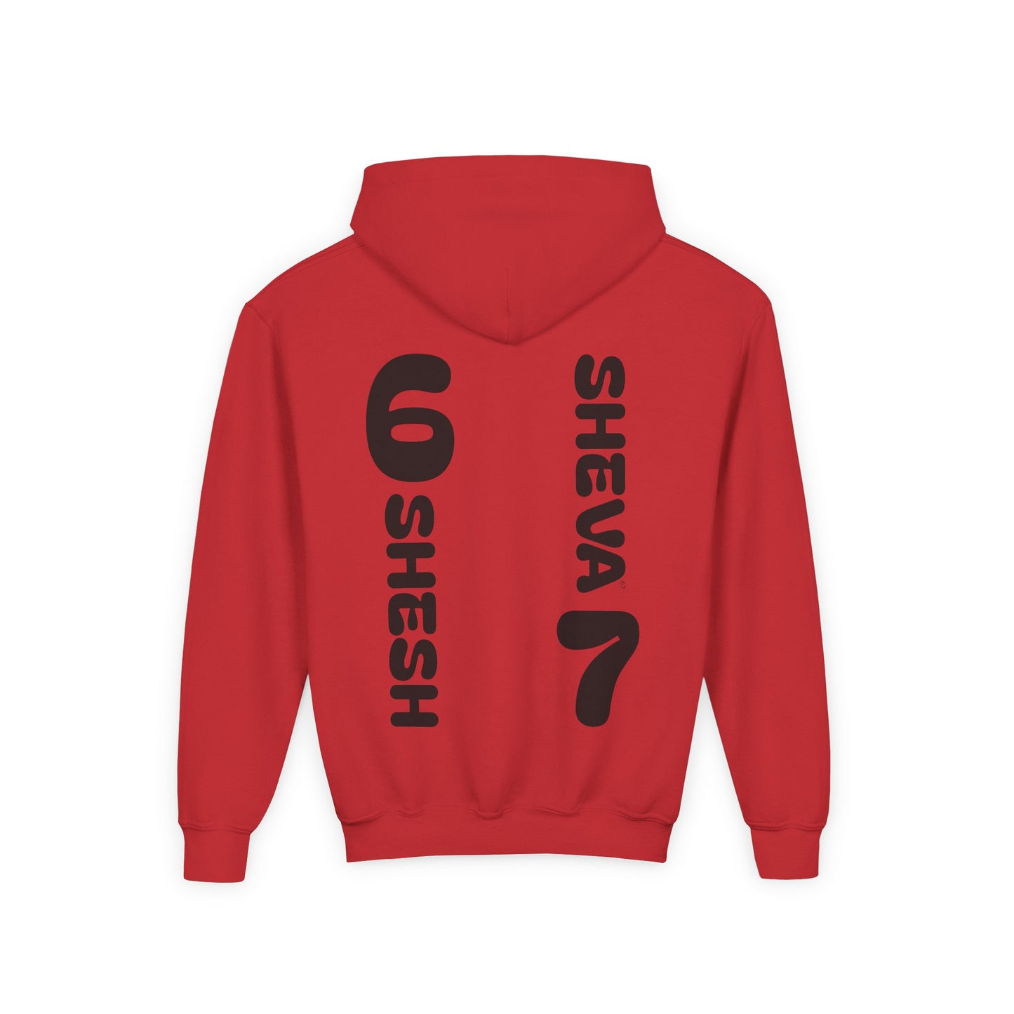 SHESH6 SHEVA7 Kids Hoodie back design – “Not Just a Meme”
