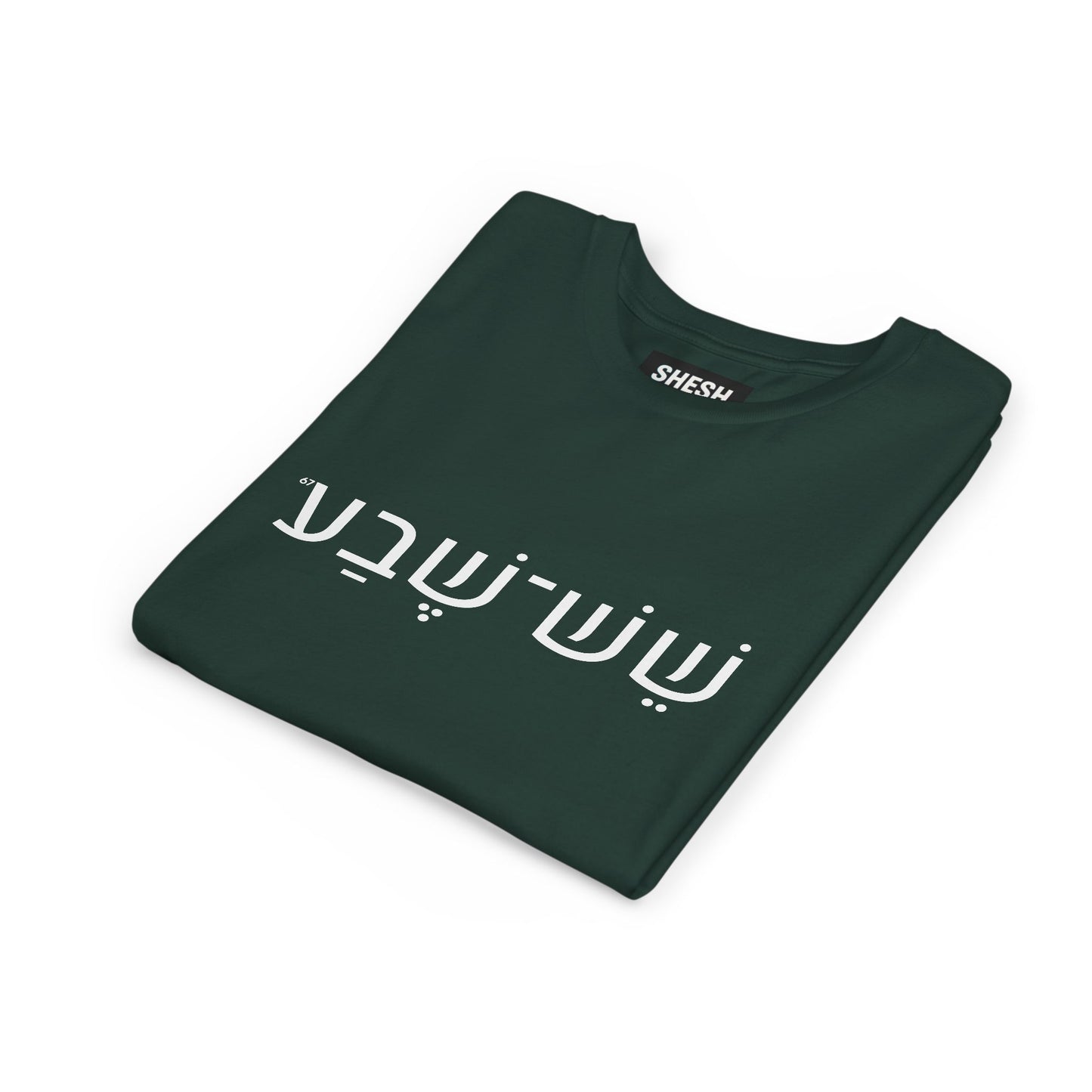 A - Shesh-Sheva Kids & Youth Tee | Bold Hebrew Streetwear Energy 67