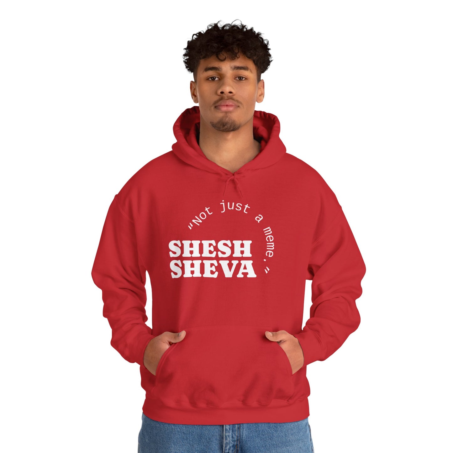 Shesh Sheva Hoodie - "Not Just a Meme" Graphic Sweatshirt