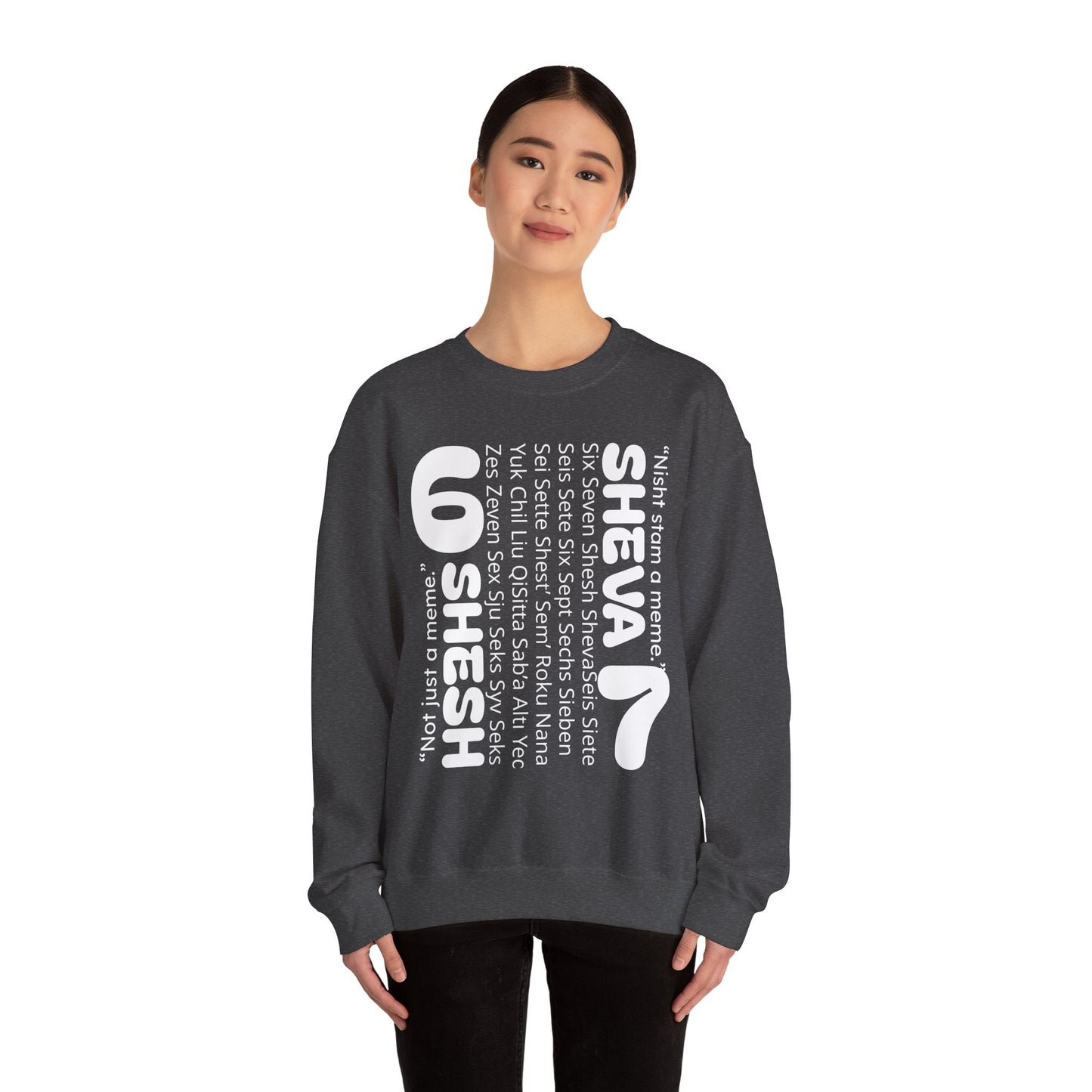 SHESH SHEVA “Global Vibe” Hoodie – The Six Seven Languages Drop