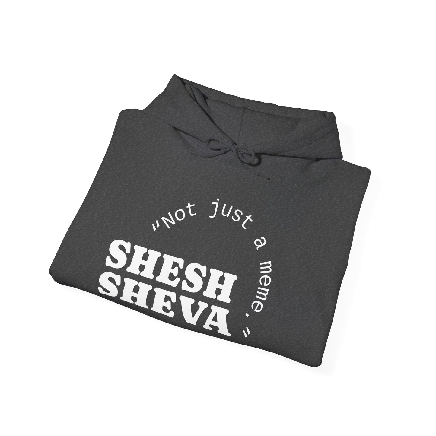 Shesh Sheva Hoodie - "Not Just a Meme" Graphic Sweatshirt