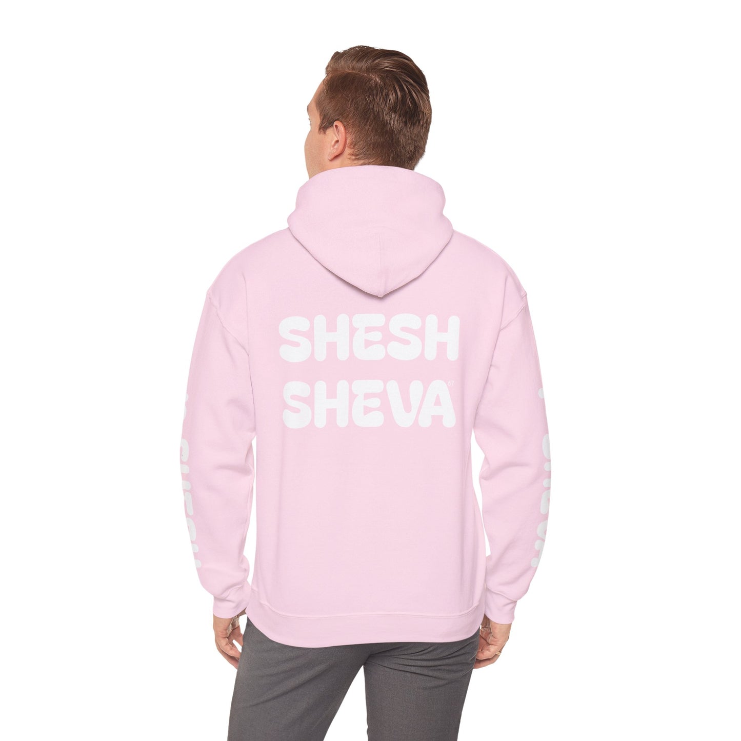 Shesh Sheva Hoodie - "Not Just a Meme" Graphic Sweatshirt 67