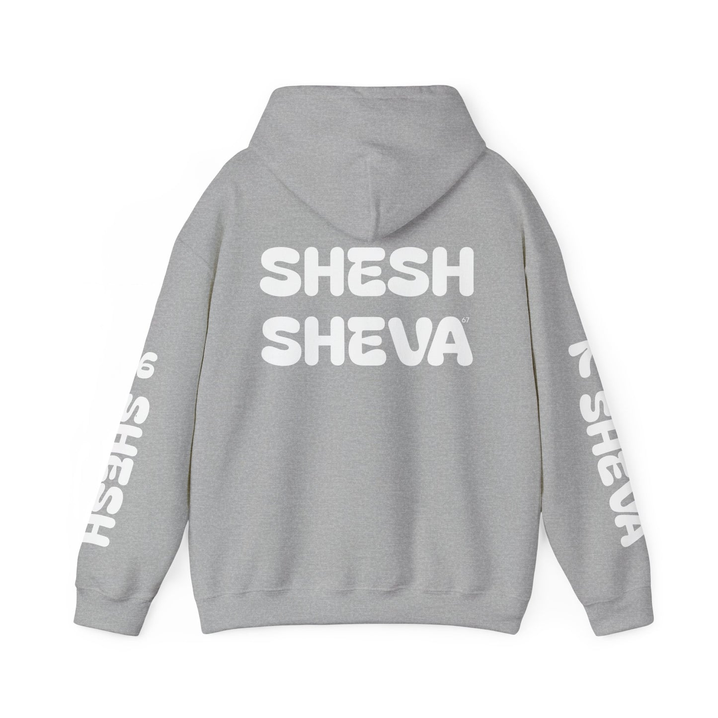 Shesh Sheva Hoodie - "Not Just a Meme" Graphic Sweatshirt 67