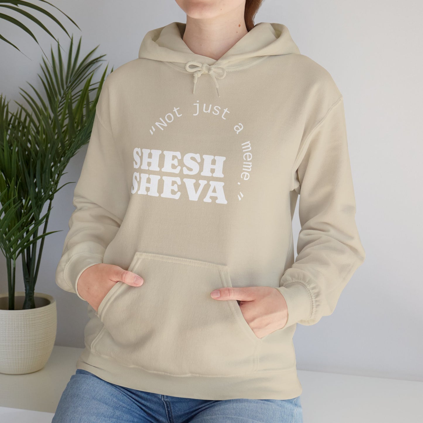 Shesh Sheva Hoodie - "Not Just a Meme" Graphic Sweatshirt