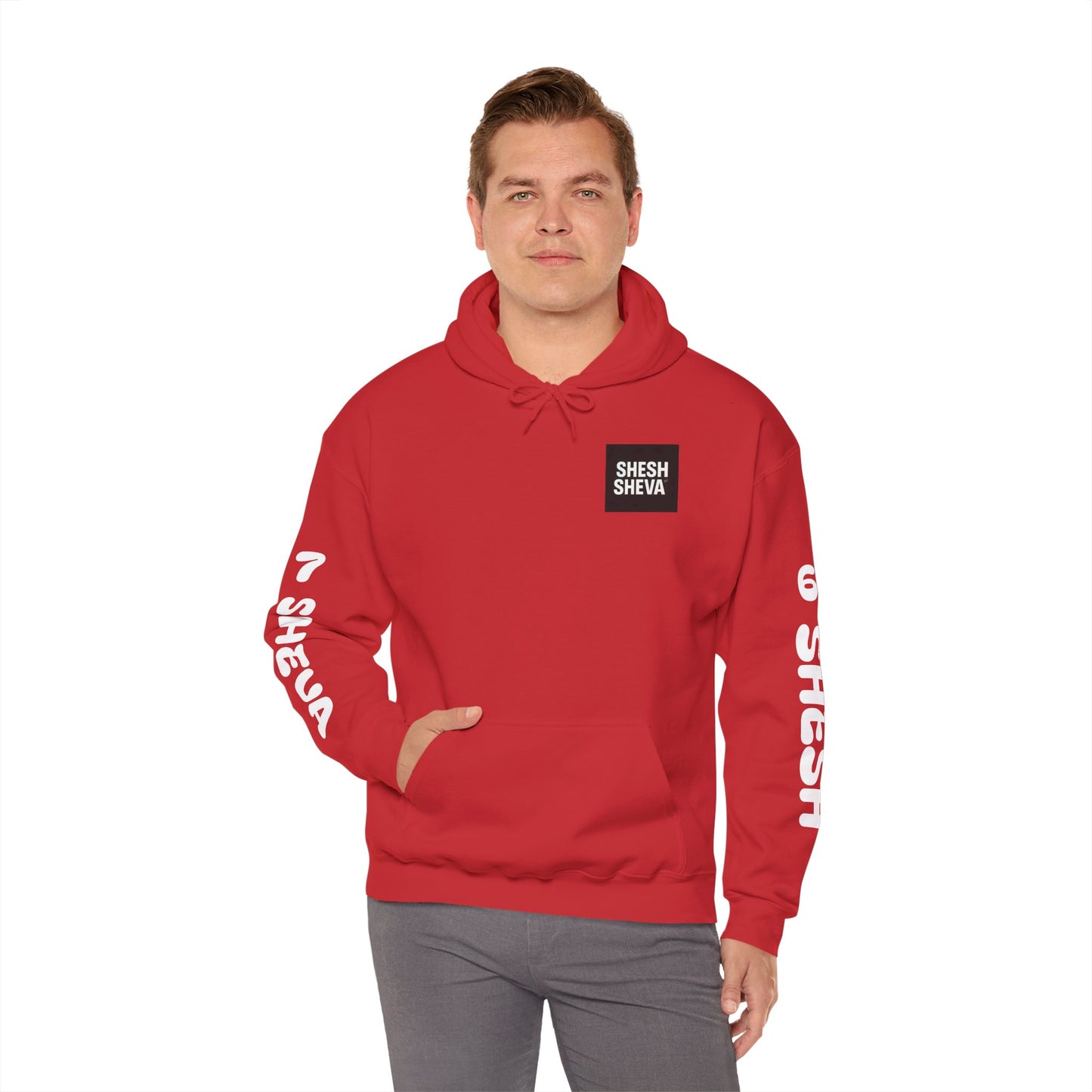 Shesh Sheva Hoodie - "Not Just a Meme" Graphic Sweatshirt 67