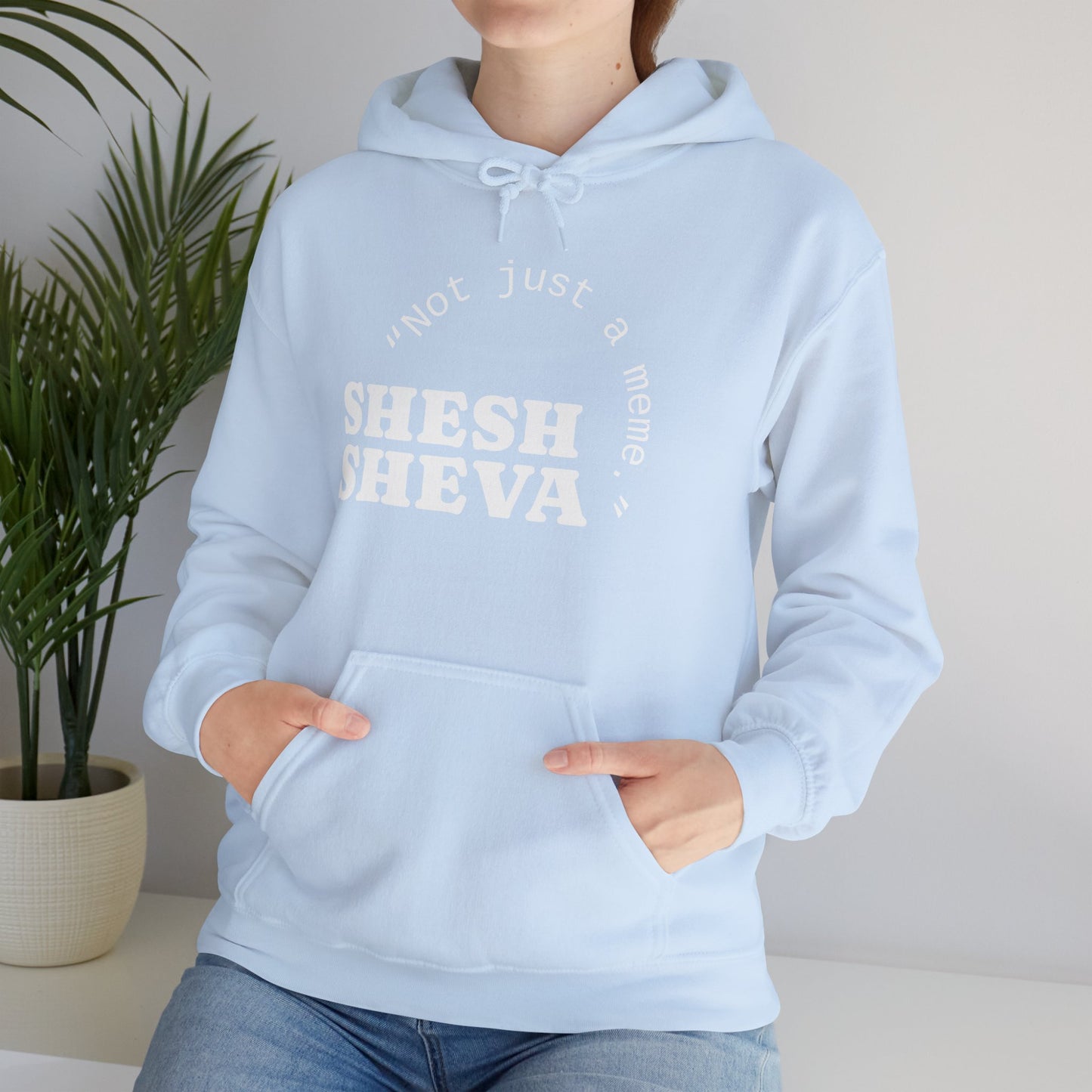 Shesh Sheva Hoodie - "Not Just a Meme" Graphic Sweatshirt