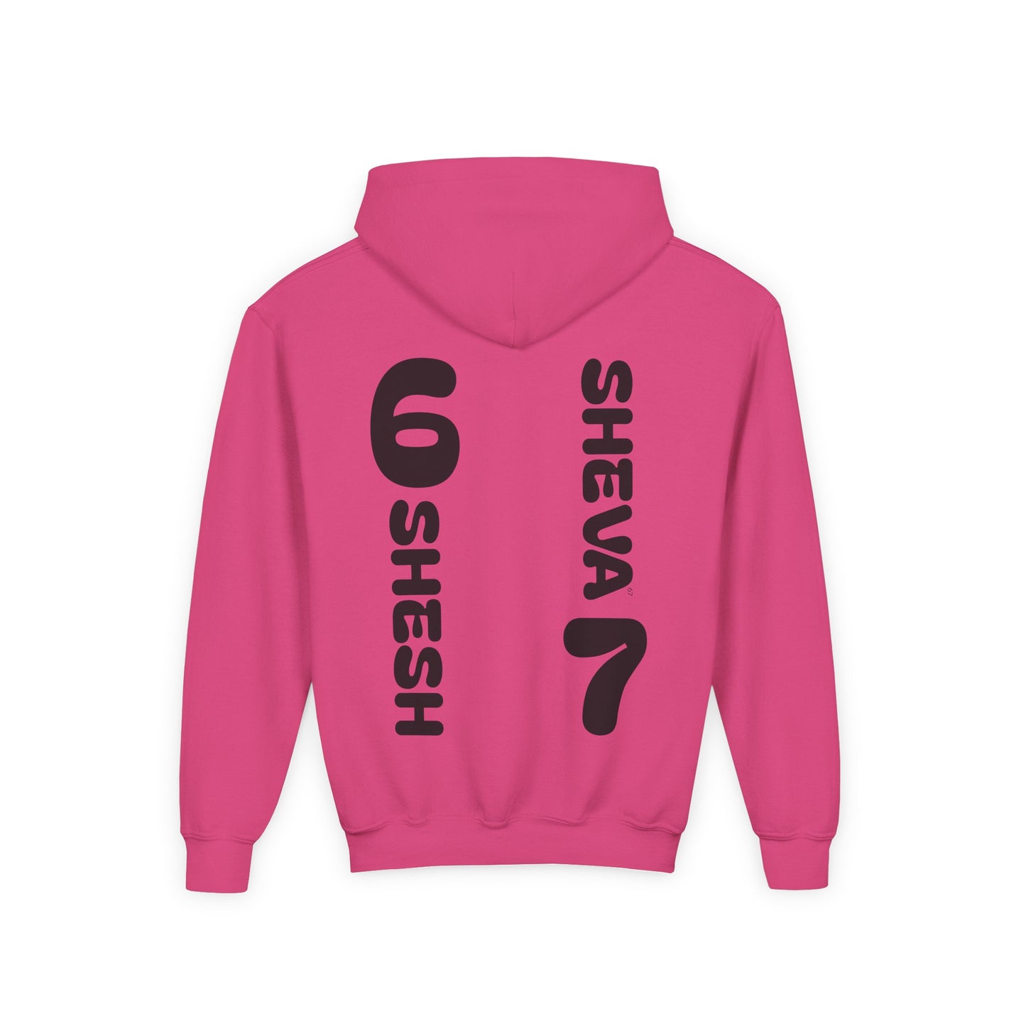 SHESH6 SHEVA7 Kids Hoodie back design – “Not Just a Meme”