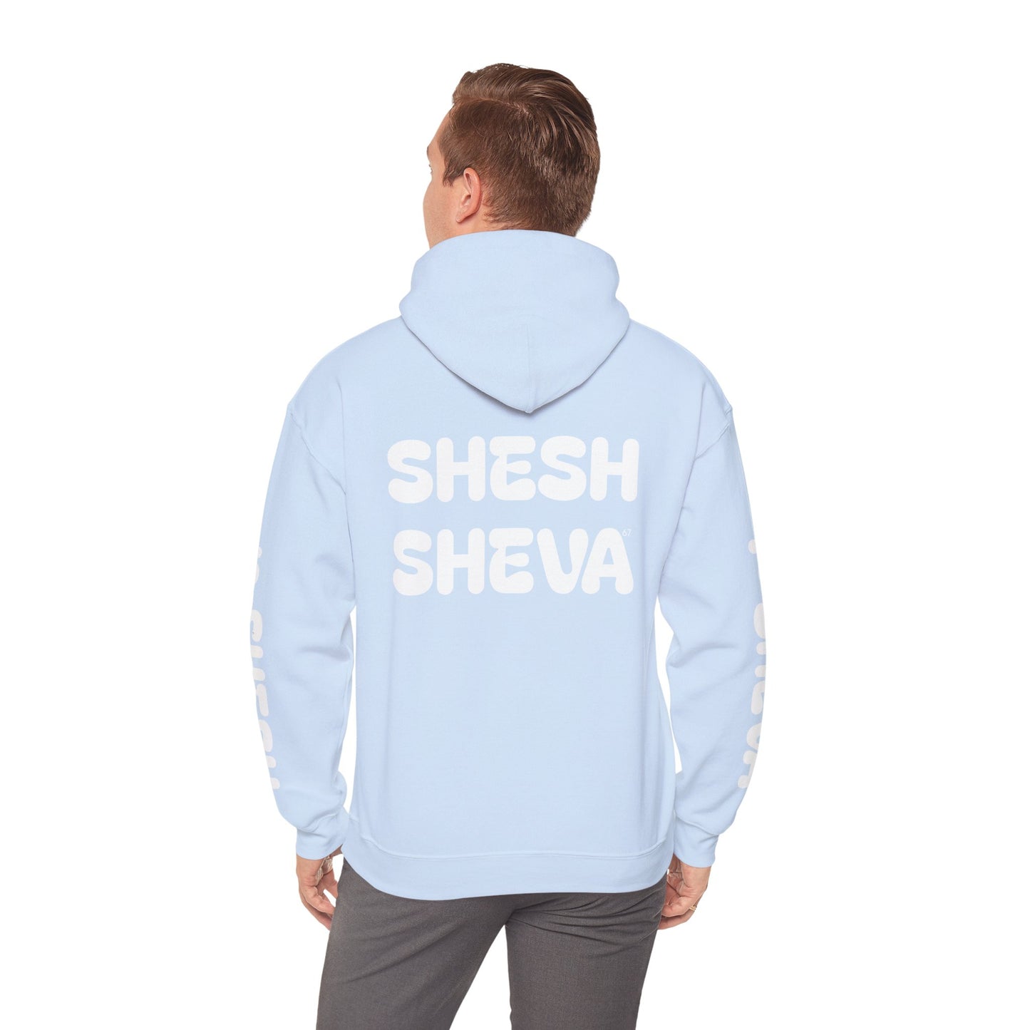 Shesh Sheva Hoodie - "Not Just a Meme" Graphic Sweatshirt 67