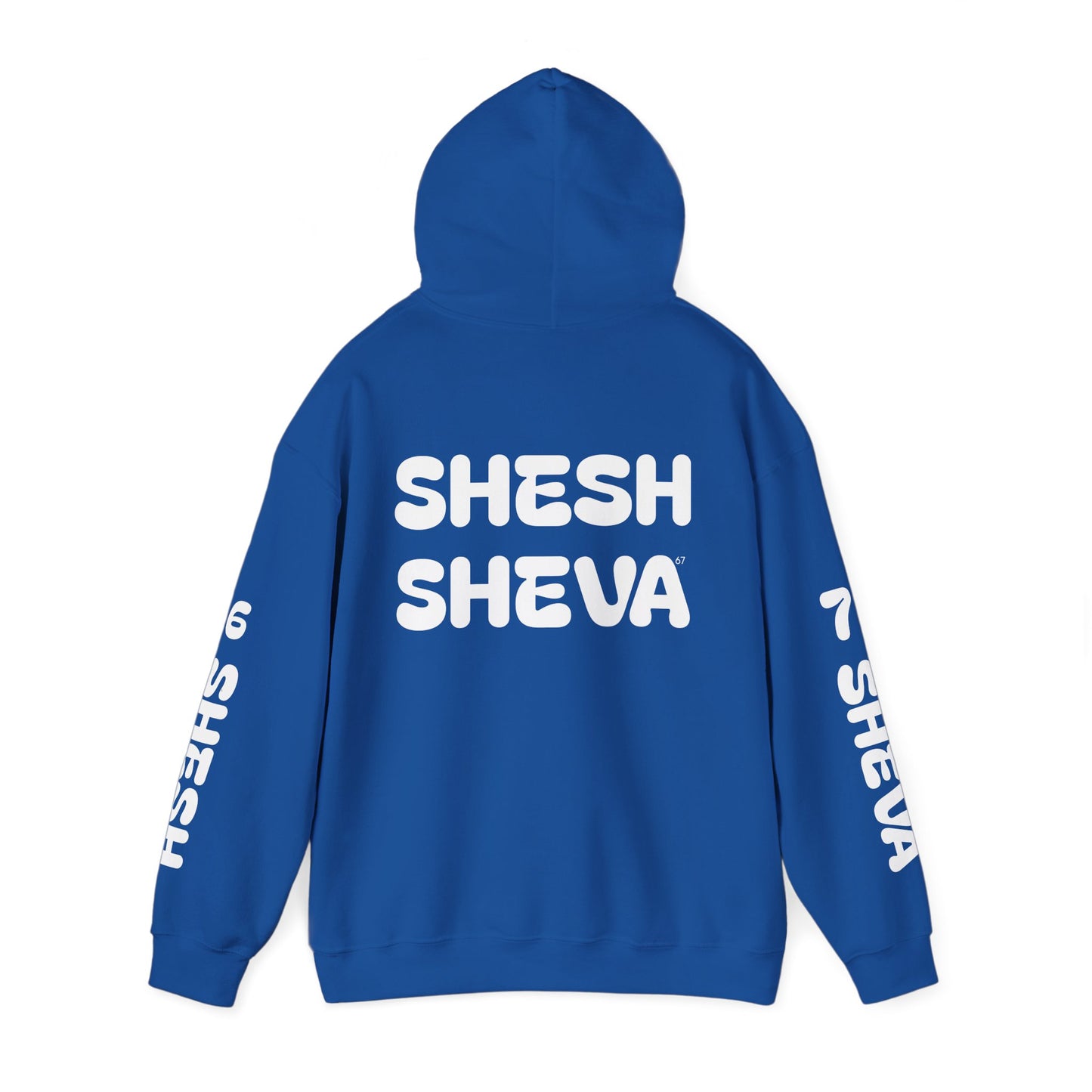 Shesh Sheva Hoodie - "Not Just a Meme" Graphic Sweatshirt 67