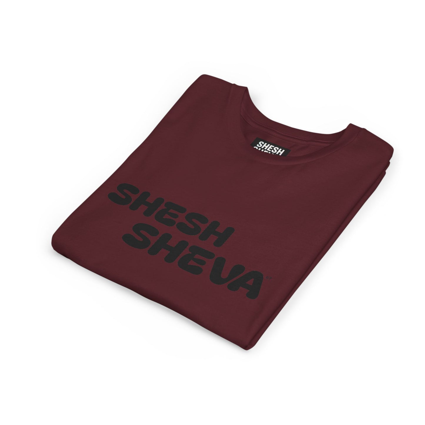 A - Shesh-Sheva™ Kids & Youth Tee | Bold English-Hebrew Streetwear Energy 67