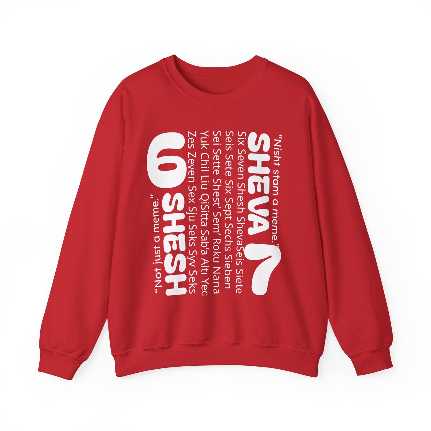 SHESH SHEVA “Global Vibe” Hoodie – The Six Seven Languages Drop