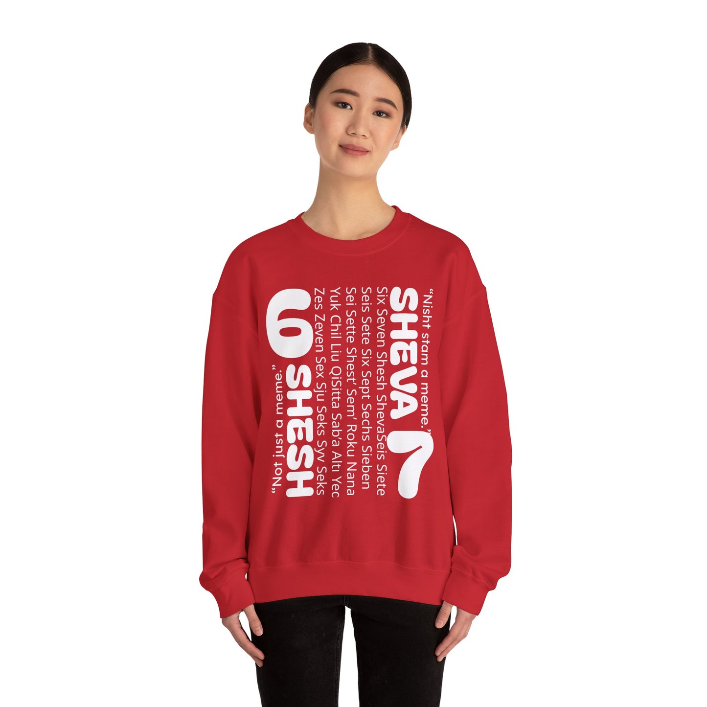 SHESH SHEVA “Global Vibe” Hoodie – The Six Seven Languages Drop